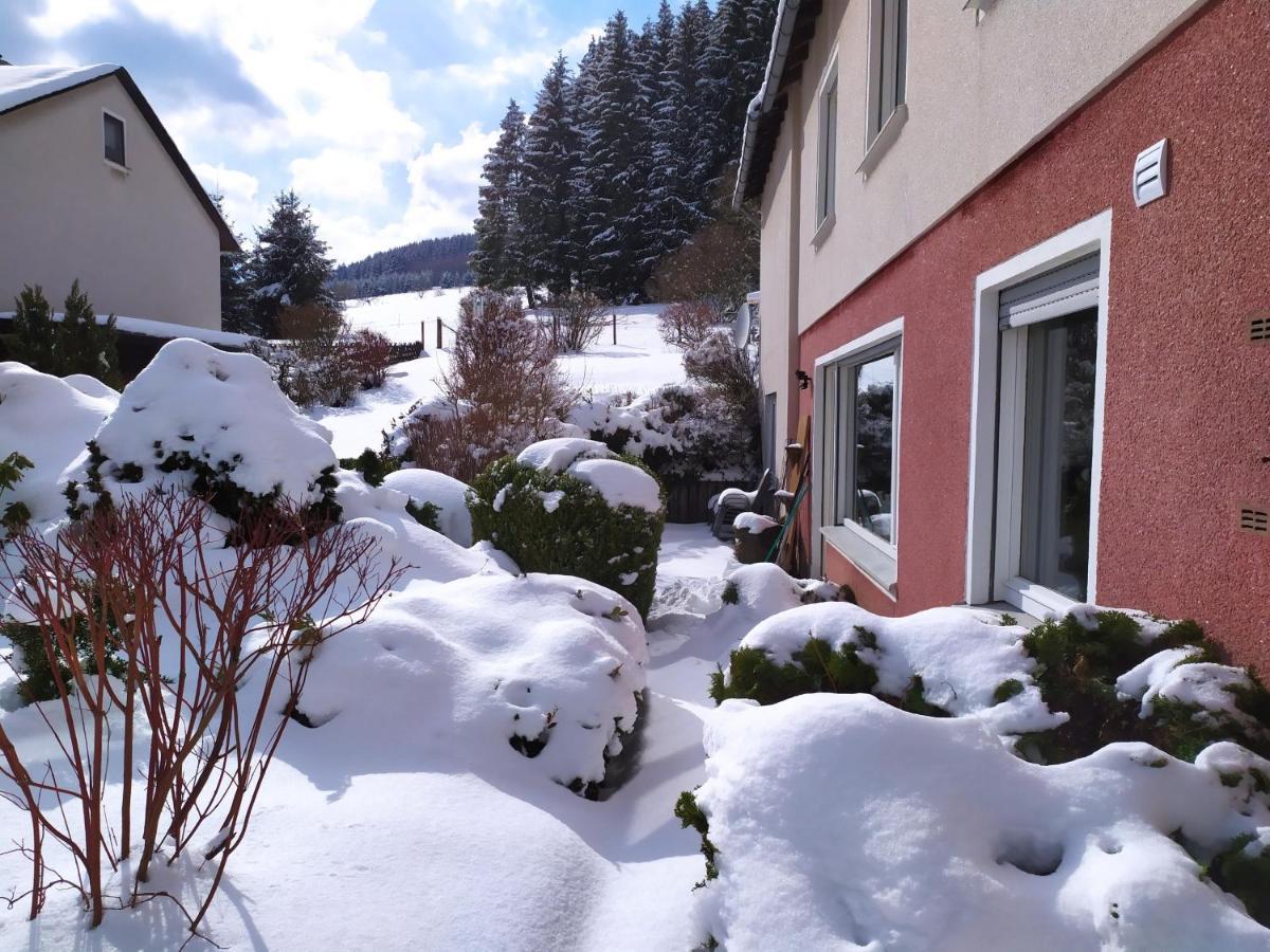 Ferienwohnung Eschenberg Winterberg Esterno foto